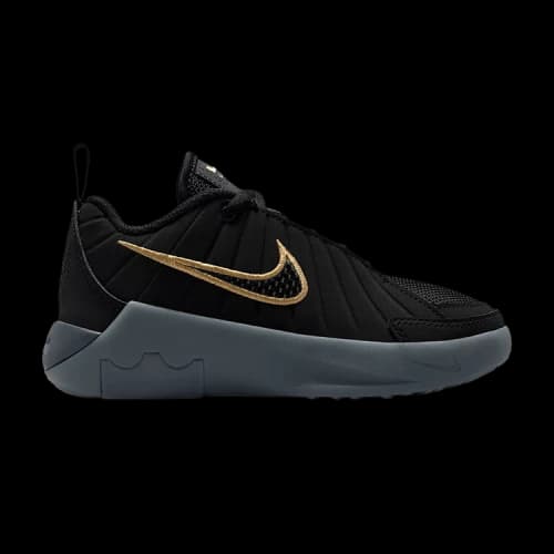 Nike Lebron Witness 9 PS 'Black Iron Grey'