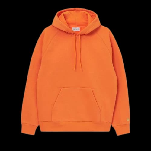 Carhartt WIP Chase Hooded Sweatshirt 'Hokkaido'