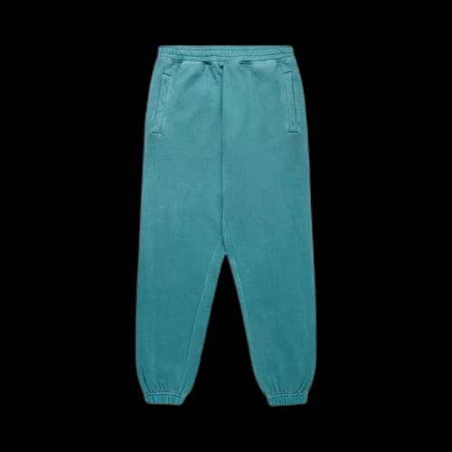 Carhartt WIP Nelson Sweatpants 'Botanic'
