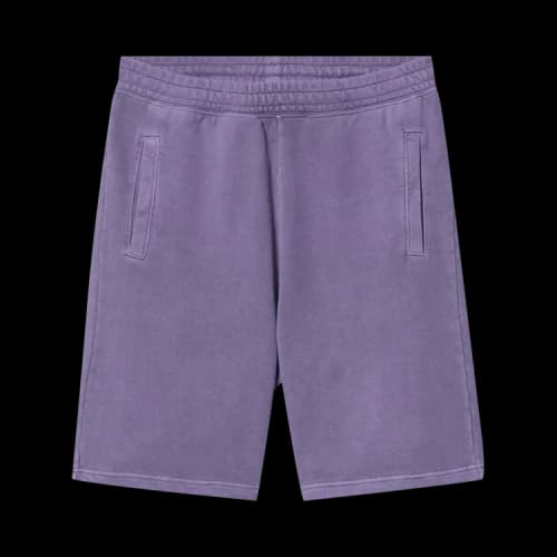 Carhartt WIP Nelson Sweatshort 'Arrenga'