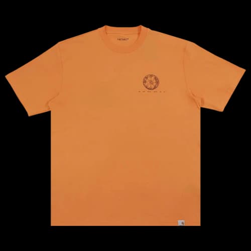 Carhartt WIP Juice T-Shirt 'Multicolor'