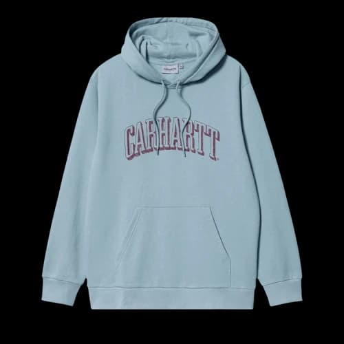 Carhartt WIP Hooded Scrawl Sweat 'Misty Sky/Corvina'