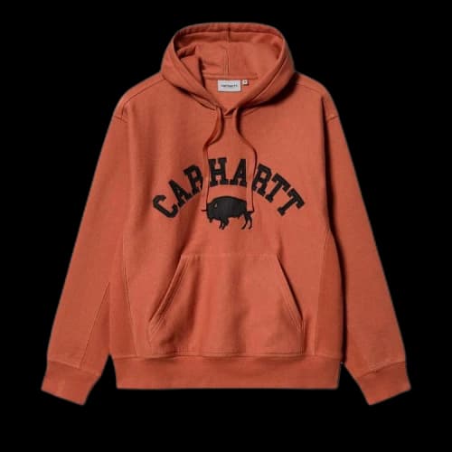 Carhartt WIP Hooded Locker Sweatshirt 'Phoenix'