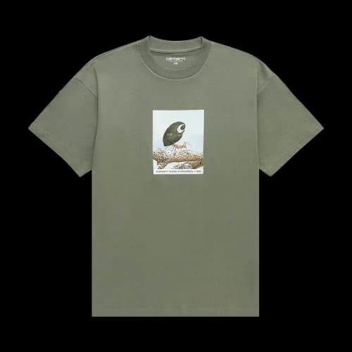 Carhartt WIP Short-Sleeve Antleaf T-Shirt 'Dollar Green'