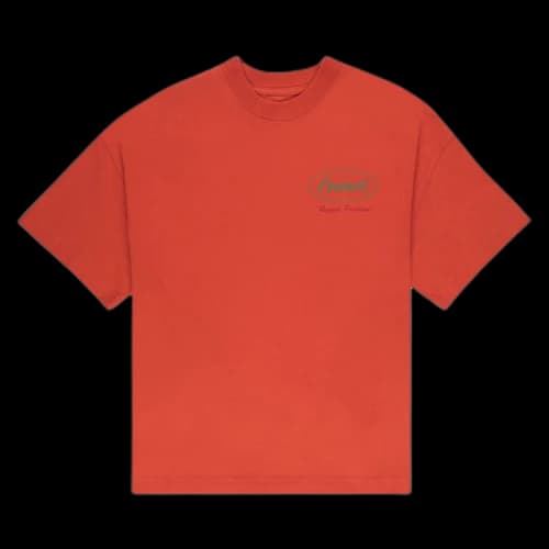 Carhartt WIP Trophy T-Shirt 'Brick'