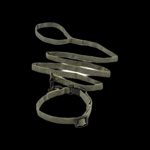 Carhartt WIP Tour Dog Leash and Collar Set 'Green'