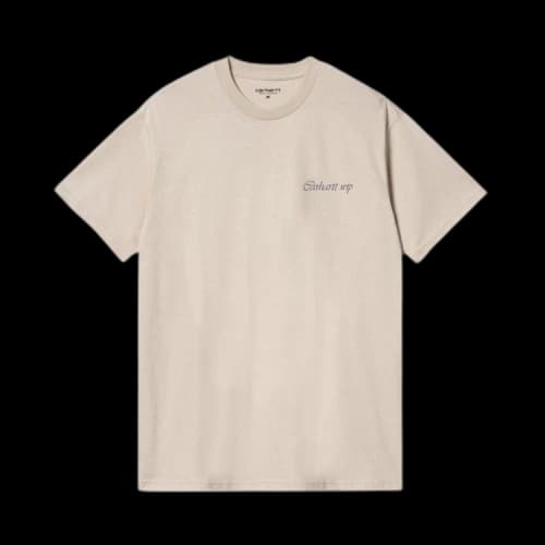 Carhartt WIP Work & Play T-Shirt 'Tonic'