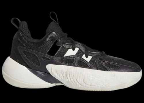 adidas Trae Young Unlimited 2 Core Black Cloud White Aurora Black (GS)