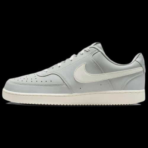 Nike Court Vision V2 Skateboard Shoes Men's Gray
