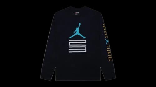 Jordan Brooklyn AJ11 Graphic Long Sleeve Tee Black