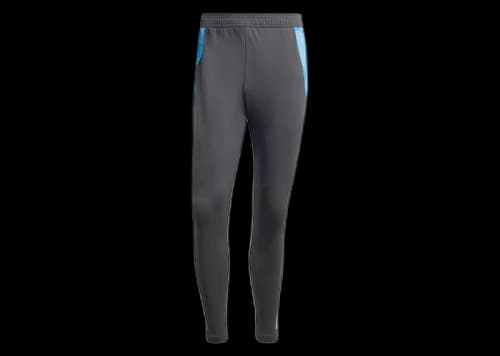 adidas Argentina Tiro 24 Competition Training Pants Carbon