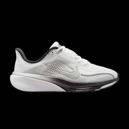 Nike Air Zoom Pegasus 42 Summit White Metallic Silver (GS)