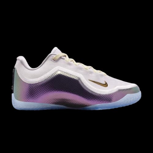 Nike LeBron 23 For The Record (GS)