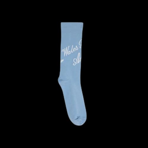 adidas x Wales Bonner Short Socks 'Ash/Blue'