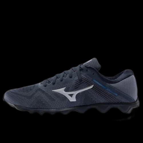 Mizuno Horizon 4 Gray/Blue