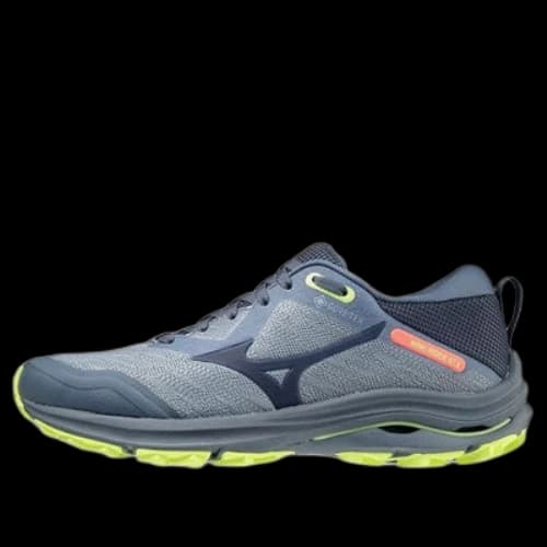 Mizuno Wave Rider Gtx 'Grey' (Women's)