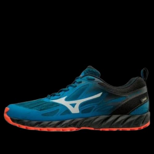 Mizuno Wave Ibuki Gtx Low Tops Blue White Black
