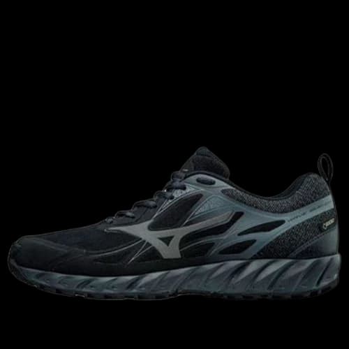Mizuno Wave Ibuki Gtx Low Tops Black Gray