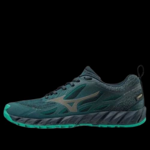 Mizuno Wave Ibuki GTX (Women's)