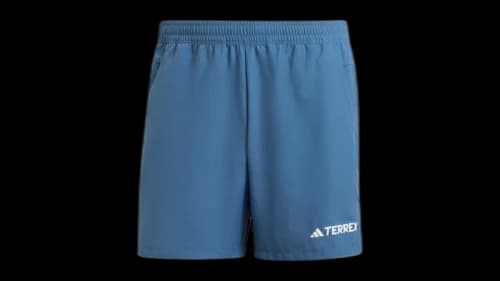 adidas Terrex Multi Shorts Wonder Steel