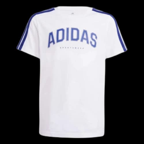 (GS) adidas Codes Collegiate Graphic T-Shirt 'White Blue'