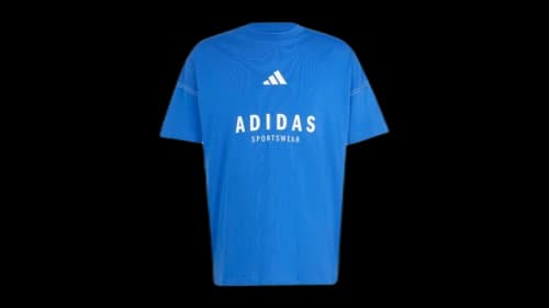 adidas All Szn Graphic T-Shirt Royal Blue
