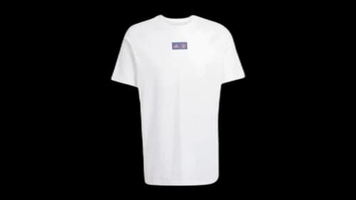 adidas FC Bayern Seasonal Graphic Tee White