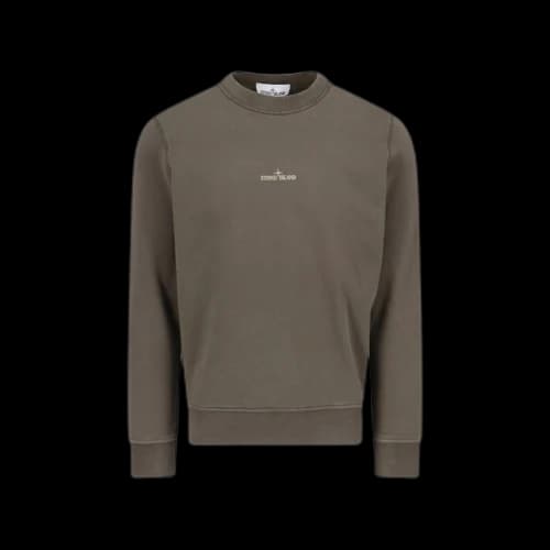 Stone Island Crew Neck Sweatshirt With Logo Green