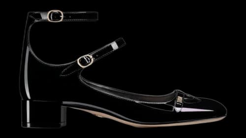 Dior Aime Ballerina Pumps Black