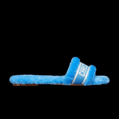 Dior Chez Moi Slide 'Dynamic Blue' (Women's)