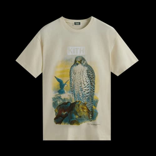 Kith For AMNH Falcon Vintage Tee 'Sandrift'