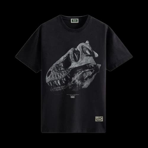 Kith For AMNH T-Rex Vintage Tee 'Black'