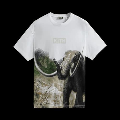 Kith For AMNH Late Mammals Vintage Tee 'White'