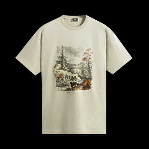 Kith Nature Society Vintage Tee 'Sandrift'
