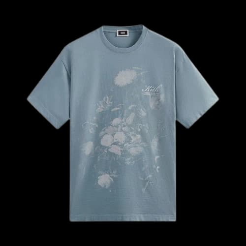 Kith Gardens Of The Mind Vintage Tee 'Majestic'
