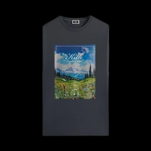 Kith Landscape Vintage Tee 'Torpedo'