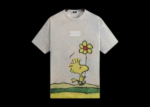 Kith x Peanuts Woodstock Comic Vintage Tee Chalk