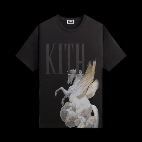 Kith Pegasus Vintage Tee 'Black'