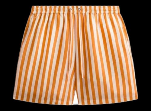 Kith Striped Cedar Short Tiger