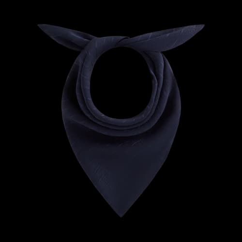 Kith Silk Cupro Jacquard Scarf 'Nocturnal'