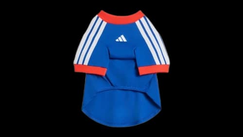 adidas Pet Nation Pack Jersey Royal Blue