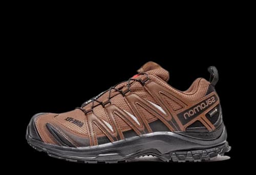 Salomon and wander x XA Pro 3D GORE-TEX 'Brown Black'