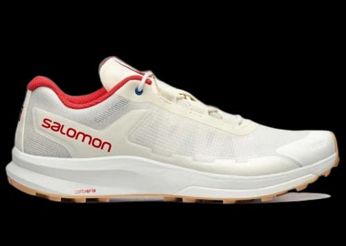 Salomon Ultra Raid Copson