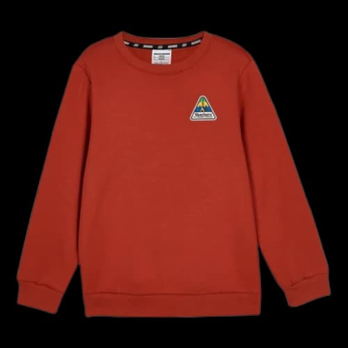 (GS) Skechers Casual Graphic Crew Sweater 'Brown'