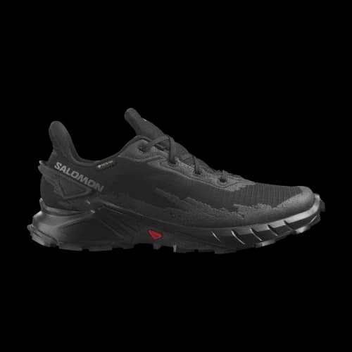 Salomon Alphacross 4 GORE-TEX 'Black'