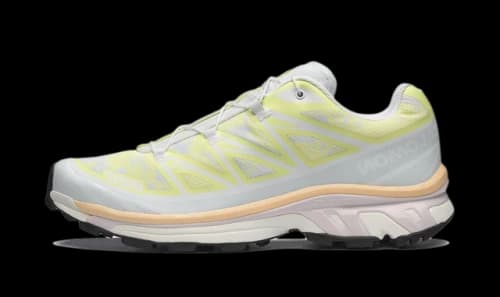 Salomon XT-6 Alpen Blossom Ice Flow