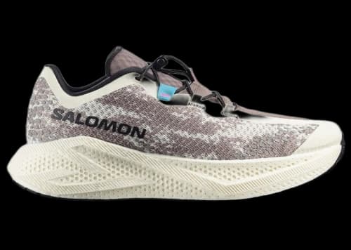 Salomon Aero Glide 4 GRVL Vanilla Ice Black