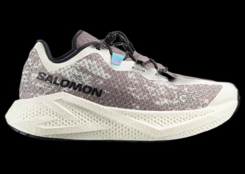 Salomon Aero Glide 4 GRVL Vanilla Ice Black (Women's)