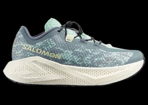 Salomon Aero Glide 4 GRVL Stormy Weather Lichen (Women's)