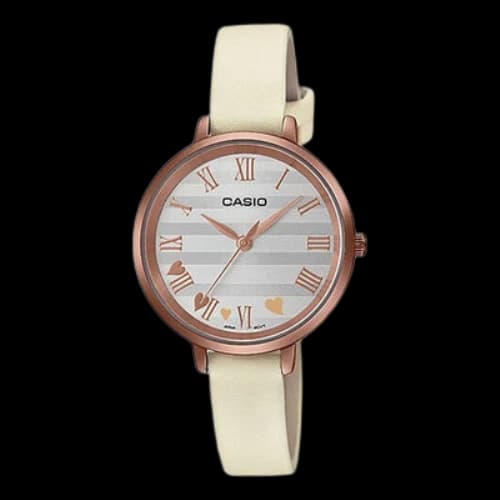 CASIO Quartz Movement Strap Stainless Steel Case Silver Dial Watch Analog